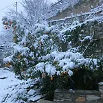 Koukourava Garden Villa